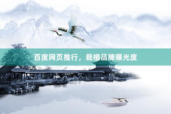 百度网页推行，栽植品牌曝光度