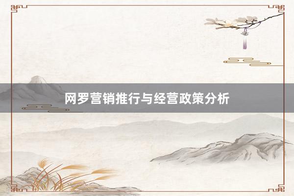 网罗营销推行与经营政策分析
