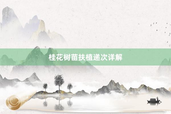 桂花树苗扶植递次详解
